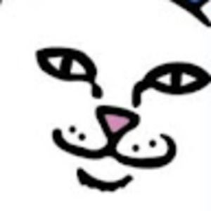 Meet your Posher, Ty